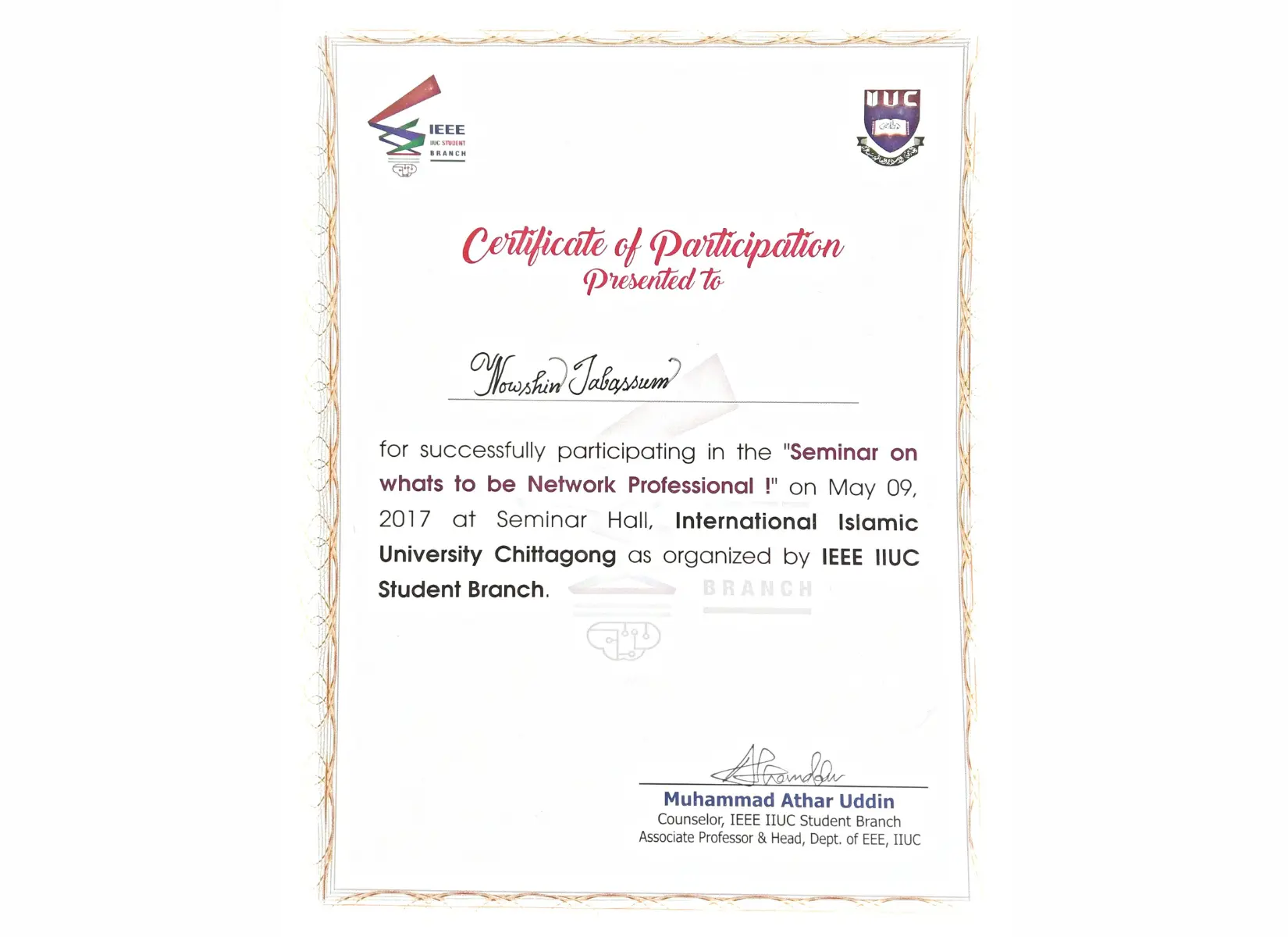 Networking professional participation certificate